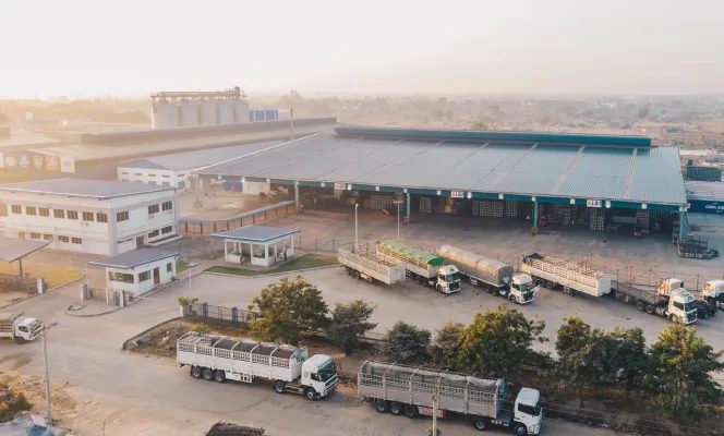 صورة دراسة حالة Ruijie: مجموعة في الإمارات: شبكة لاسلكية لمستودعات التبريد عند ‎-30°C