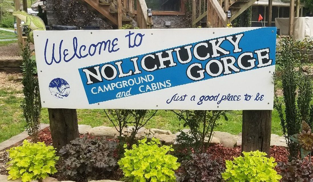 صورة دراسة حالة Grandstream: Nolichucky Gorge Campground: شبكة Wi-Fi شبكية (mesh) خارجية لمخيم بلا تغطية هاتفية