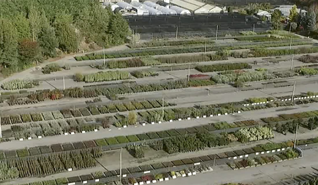 صورة دراسة حالة Grandstream: مشتل Elliott's Nursery (نيوزيلندا): شبكة Wi-Fi 6 خارجية بعيدة المدى لمساحة 25 acres
